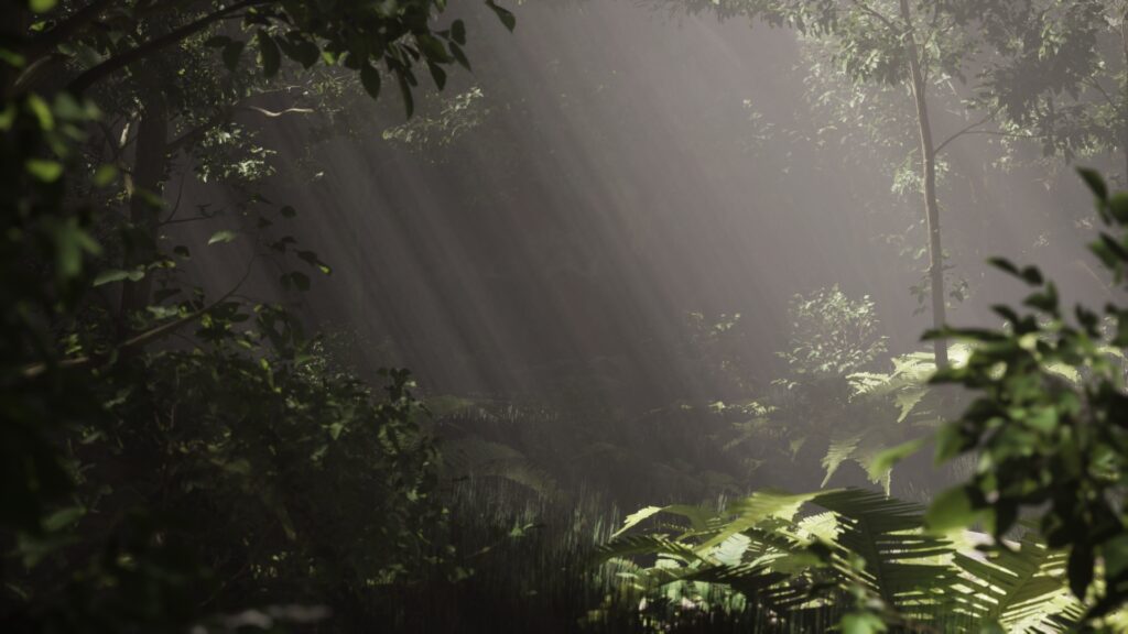 Environment Art forest8